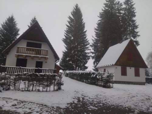 IMG-20221209-WA0000-1