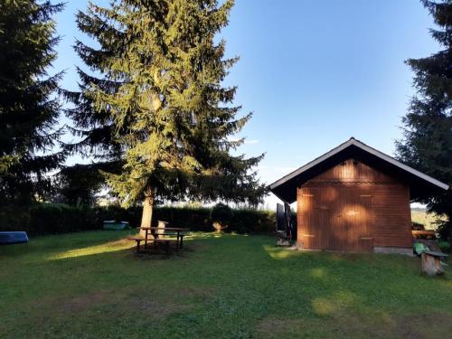 IMG 20210806 184600131 HDR